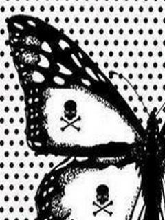 Czachy - Black_Butterfly.jpg