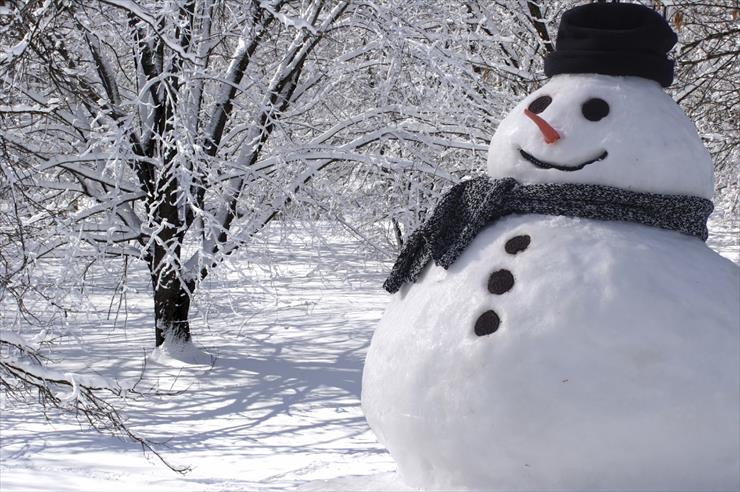 Bałwany - snowman.jpg