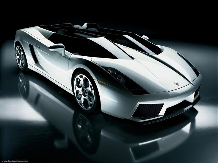 Auta osobowe i ciężarowe - Lamborghini1.jpg