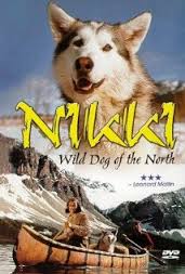 Kolekcja filmów o psach - Włóczęgi Północy.jpg