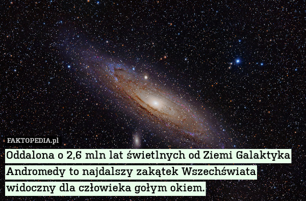 Kosmos - fakt Galaktyka Andromedy.jpg