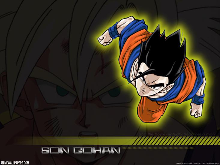 Tapety - dbz_46_1024.jpg