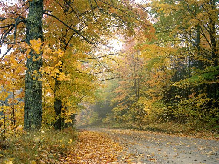 krajobrazy - Crisp Autumn Afternoon, Vermont1.jpg