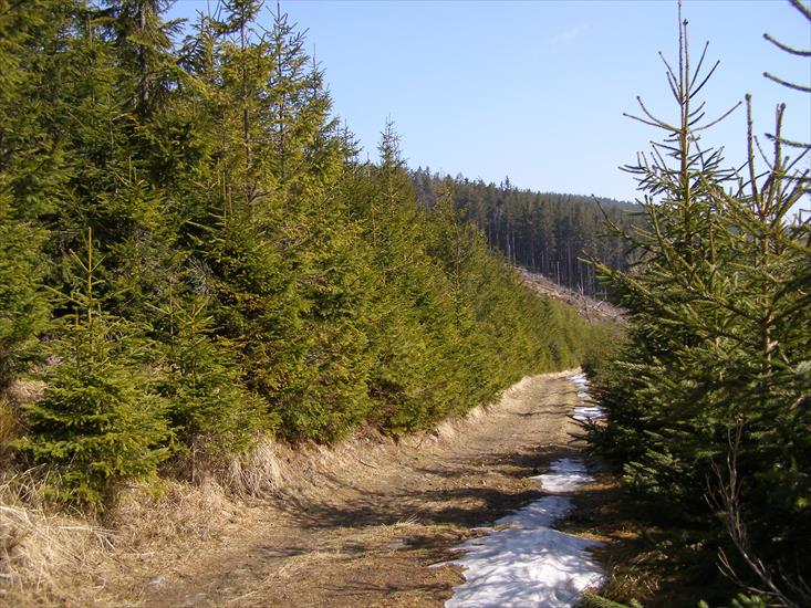 Beskid Sądecki - duga-przecz_5581945980_o.jpg