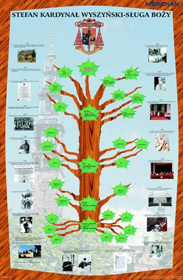 plansze edukacyjne historia - drzewo-genealogiczne-i-z_73.jpg