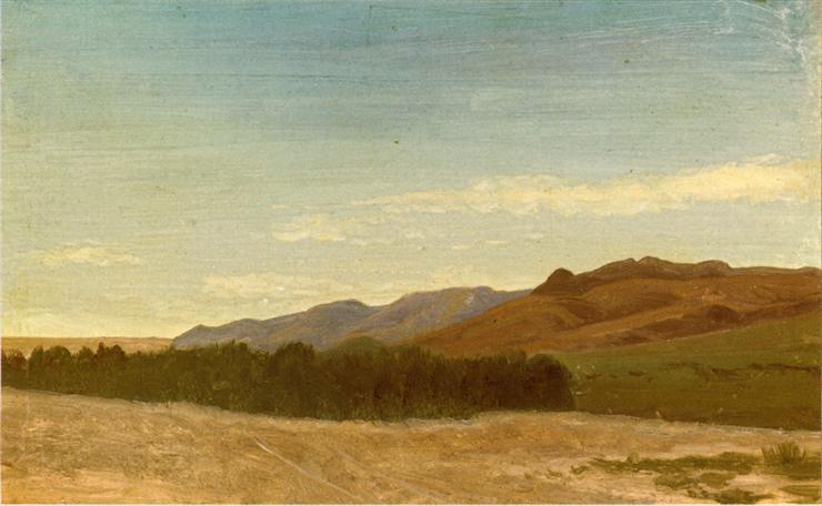 Albert Bierstadt 1830-1902 - The Plains Near Fort Laramie 1863.jpg