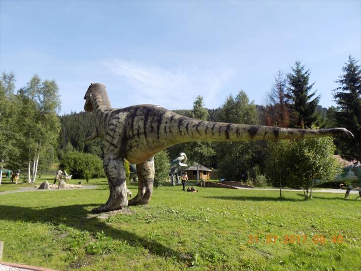 Karłów - Park Dinozaurów - DSCN0876.JPG