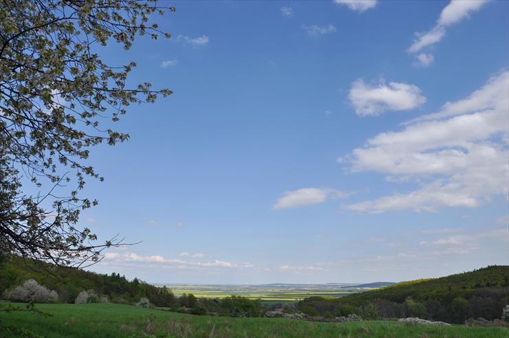 Rezerwat nad Groblą-Czechy - dsc_4618_25152500393_o.jpg