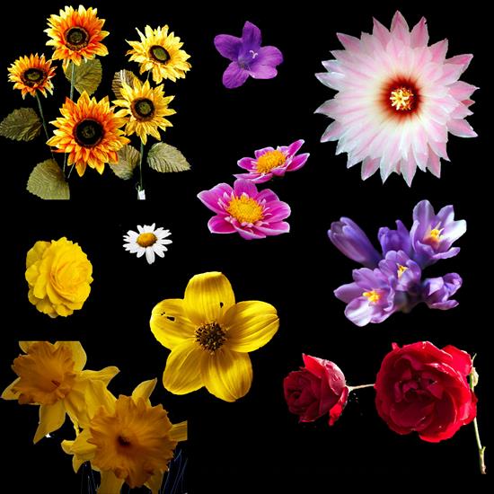 zestawy2 foto-photoshop - flowers copy.png