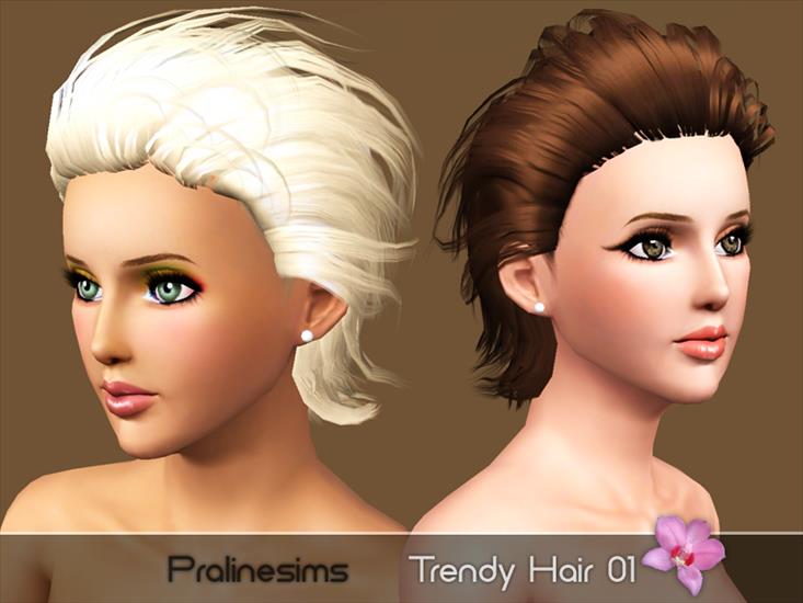 05 TSR1 - Trendy Hairstyle 01.png