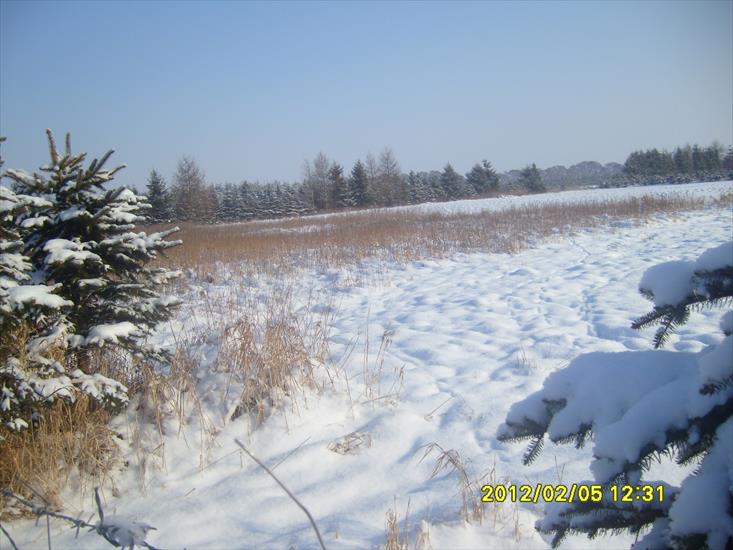 Zima 2012r- moje fotki - Zima 2012r 031.jpg