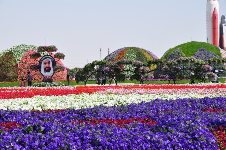 Piękny ogród kwiatowy Al Ain - 33.jpg