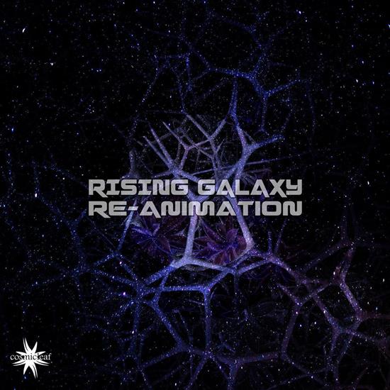 Rising Galaxy - Re-Animation 2017 - Folder.jpg