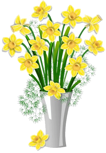 gify-narcyze , zonkile - kwiaty zongile63.gif