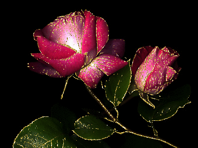 kwiaty - Złote Róże 28.gif