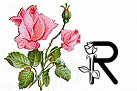 róże rozkwitające - R.gif