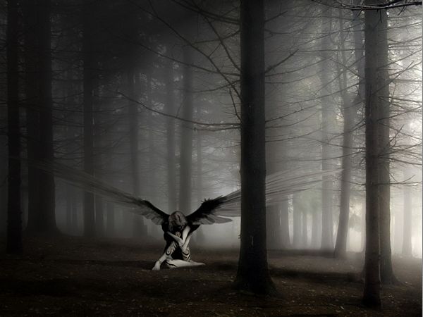 Anioły ciemności - Angel_Wallpaper.jpg