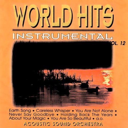 World Hits Instrumental Vol.12 - front12.jpg