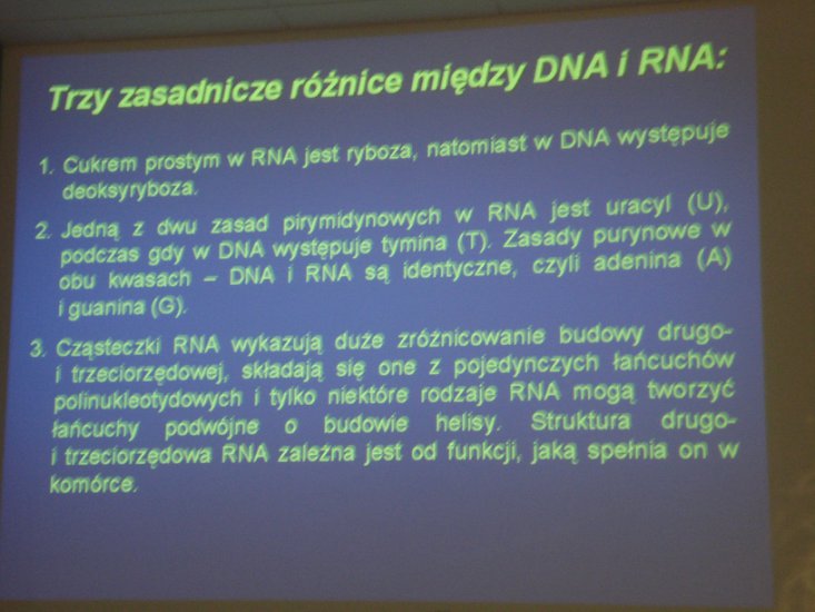x -genetyka12 - DSC02033.JPG