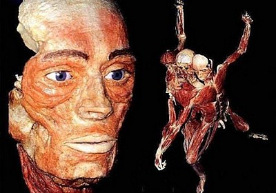 anatomia - humanmuseum24.jpg
