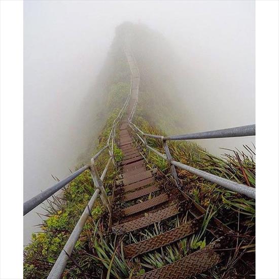 SCHODY - schody do nieba.jpg
