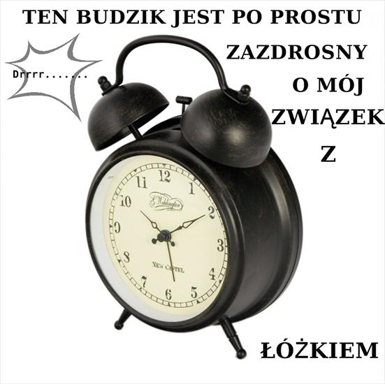 budziki - żz-BUDZIK_AALTJE_12CM.jpg
