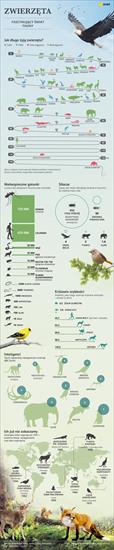 Przyroda - Fascynujące fakty ze świata zwierząt.jpg