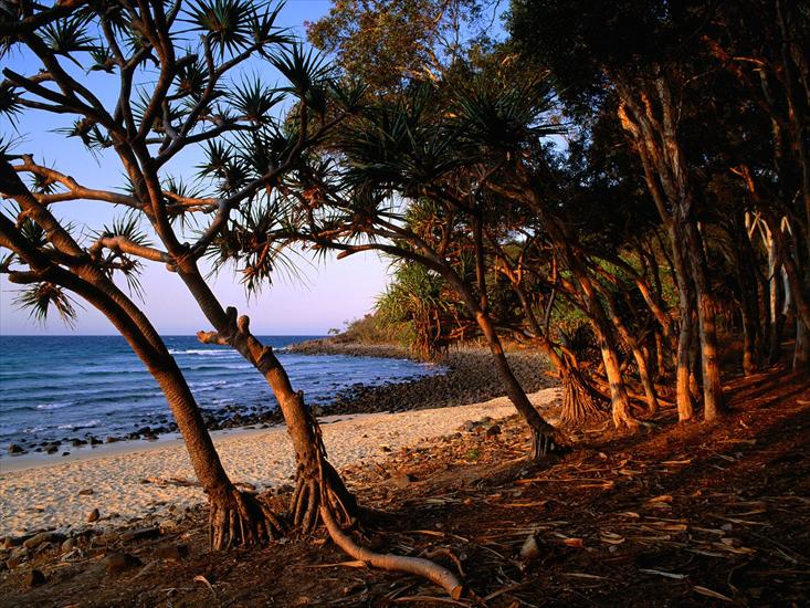 Australia - Tea Tree Beach, Noosa National Park, Queensland, Australia.jpg