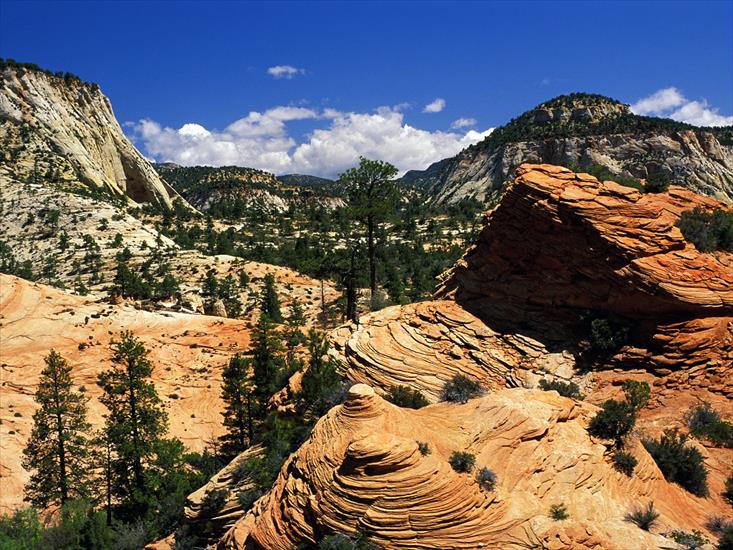 National Parks Wallpapers - Swirling Sandstone Formations, Zion National Park, Utah.jpg
