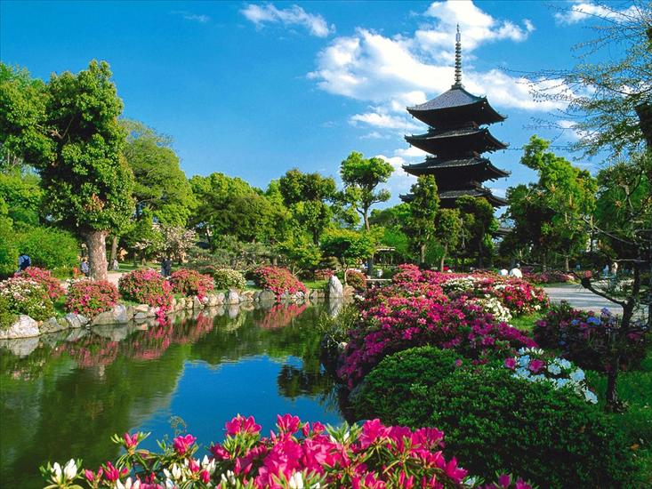 Ogrody - Toji Temple, Kyoto, Japan.jpg