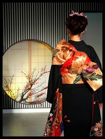 --- Gejsza - Kimono_backshot.jpg
