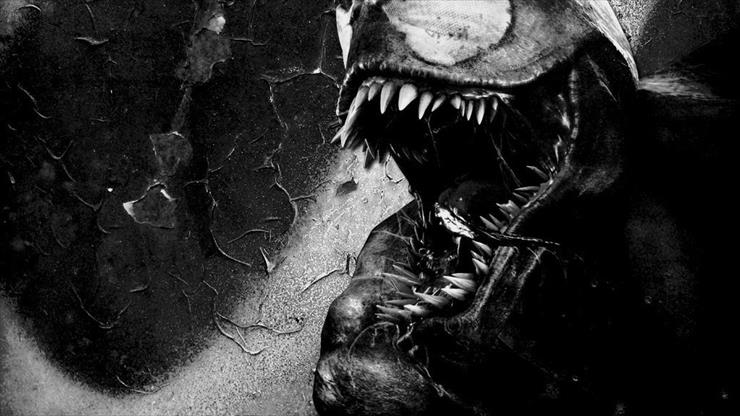 Venom - cool-wallpaper-games-video-monochrome-venom-wallpapers-game-images.jpg