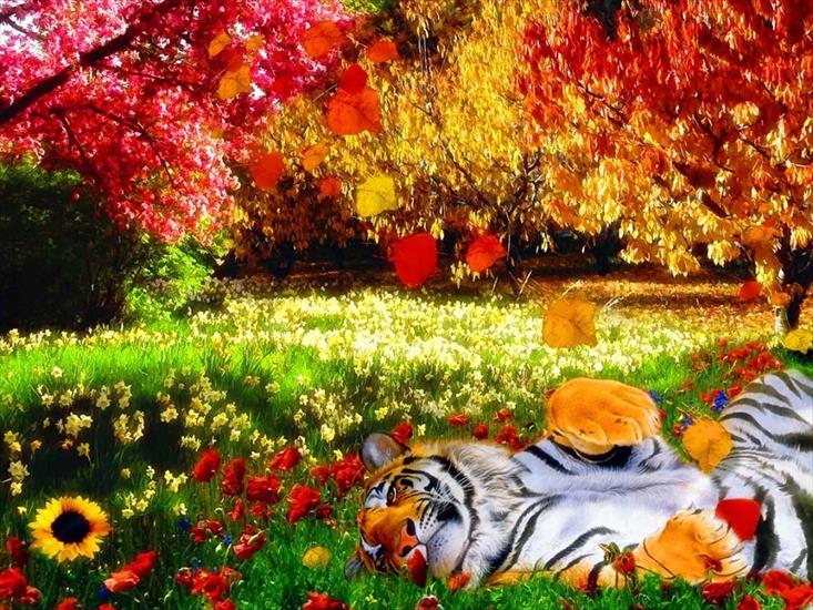 Mix 6 - Photoshop_Tiger_in_colors_015319_.jpg