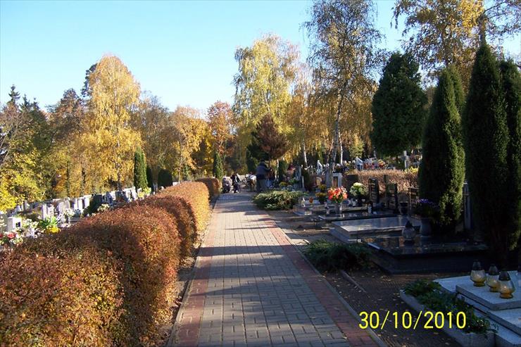 piękno cmentarza - O pazdziernik 2010 212.jpg