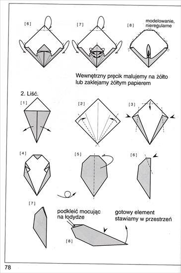 Origami - IMG_0035.jpg