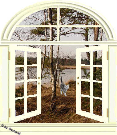 okna - fensterbild_rieke.gif