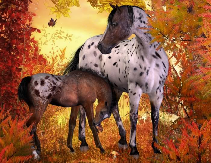  KONIE   GIFY  JPG - autumnhorses.jpg