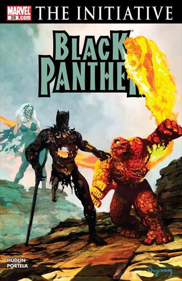 Black Panther v4 2005-2008 - Black Panther 028 2007 digital Minutemen-Faessla.jpg
