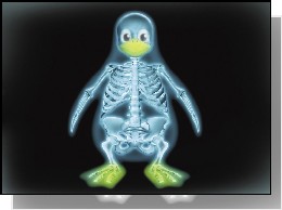 Linux - 64396_pingwinek_rtg.jpg