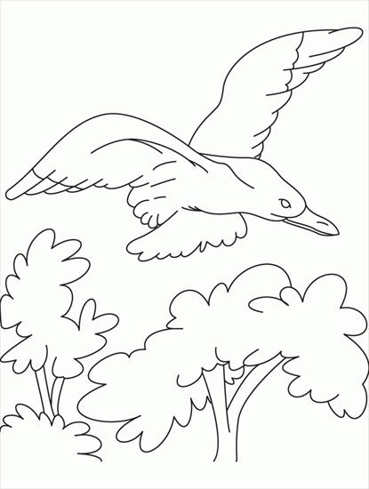 mewa - mewa - kolorowanka ptaki 22.GIF