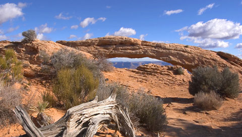 Krajobrazy - 00566_mesaarch_480x272.jpg