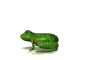 zwierzęta - frog2.gif