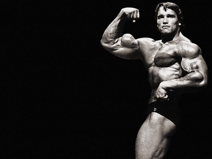 terminator - Arnold_Schwarzenegger_j02.jpg