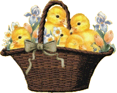Gify-Wielkanoc - kurczaczki w koszyczku ruchome.gif