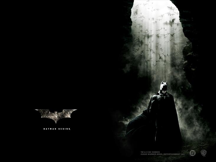 Batman Begins - Batman Begins1.jpg