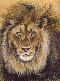 Tatuaże - lion.bmp