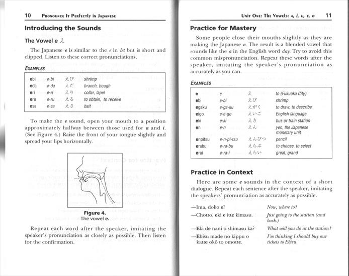 Book - PIP_Japanese_doc03.gif