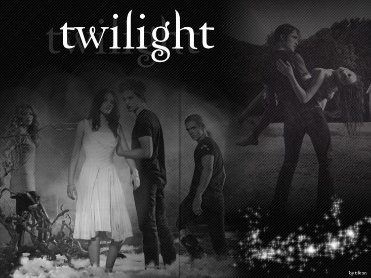 Twilight - Twilight 7.jpg