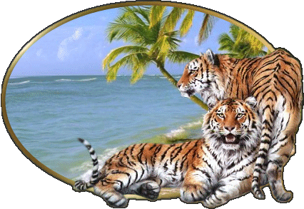 zwierzaczki - tiger01qa0.gif