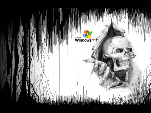 Tapety windows - Windows_XP_211.jpg